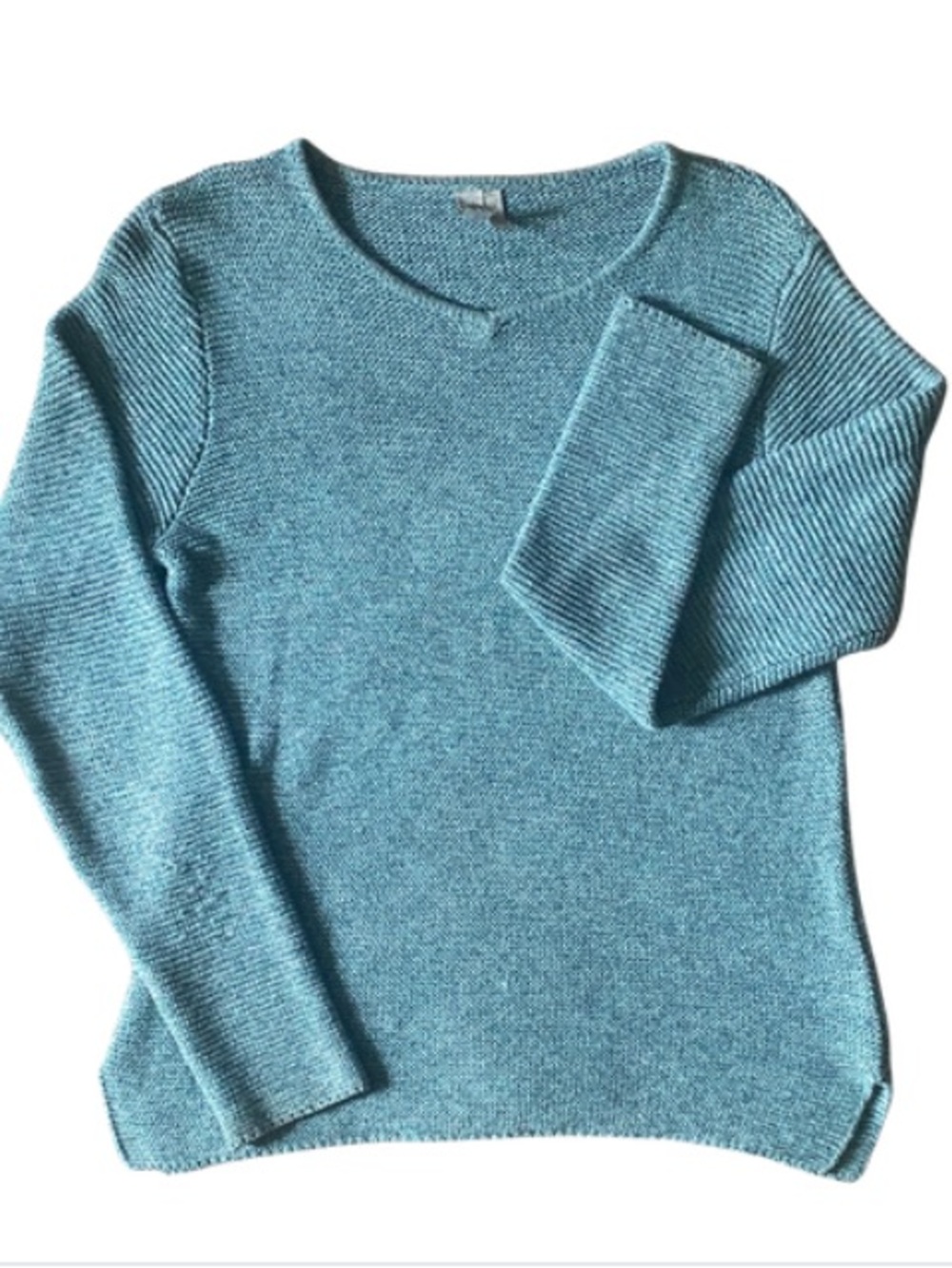 SAHALIE Women’s Light Teal Crewneck Sweater Size L